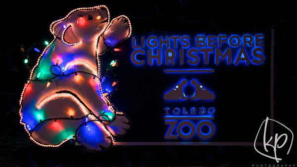 Lights Before Christmas